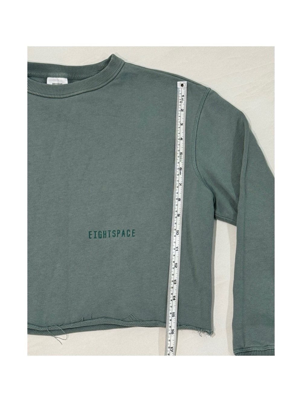 EIGHTSPACE Cropped Crewneck Sweatshirt in Dusty Green